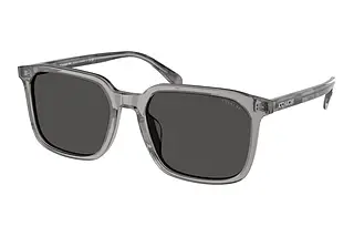 Coach HC8411U 584987 Grey SolidTransparent Grey