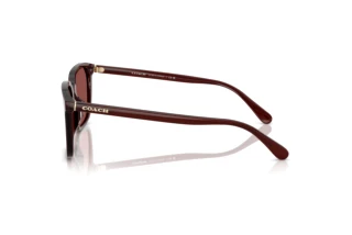 Seitenansicht Coach CW405 (HC8411U - 585075)