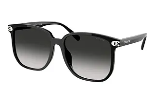 Coach HC8413BD 50023C Grey GradientBlack