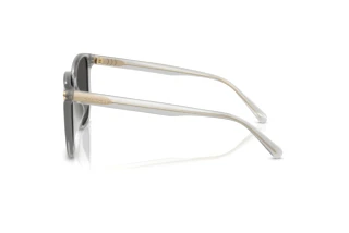 Seitenansicht Coach CW419 (HC8413BD - 561487)