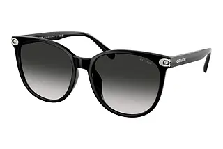 Coach HC8414BD 50023C Grey GradientBlack