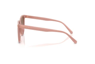 Seitenansicht Coach CW428 (HC8414BD - 583914)