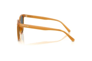 Seitenansicht Coach CW428 (HC8414BD - 585580)