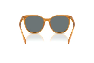 Rückansicht Coach CW428 (HC8414BD - 585580)