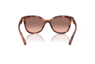 Rückansicht Coach CAD25 (HC8419U - 577413)