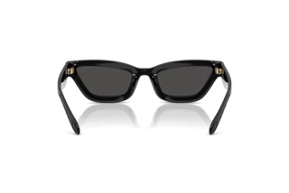 Rückansicht Coach CAD28 (HC8420U - 500287)