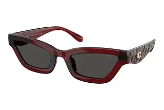 Coach HC8420U 587487 Grey SolidTransparent Deep Red