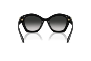 Rückansicht Coach CAD31 (HC8421U - 50023C)