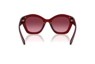 Rückansicht Coach CAD31 (HC8421U - 58708H)