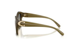 Seitenansicht Coach CAD31 (HC8421U - 5872L0)