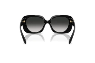 Rückansicht Coach CAD33 (HC8422U - 50023C)