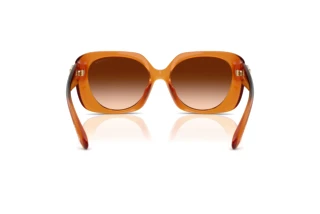 Rückansicht Coach CAD33 (HC8422U - 564774)