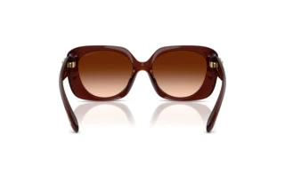 Rückansicht Coach CAD33 (HC8422U - 584174)