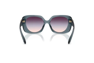 Rückansicht Coach CAD33 (HC8422U - 5871U7)