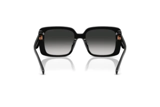 Rückansicht Coach CAD54 (HC8424U - 50023C)