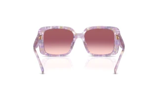 Rückansicht Coach CAD54 (HC8424U - 58677W)