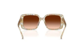 Rückansicht Coach CAD54 (HC8424U - 586874)