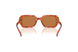 Rückansicht Coach CAD74 (HC8425U - 577473)