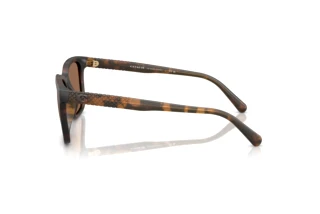 Seitenansicht Coach CAD81 (HC8426U - 512073)