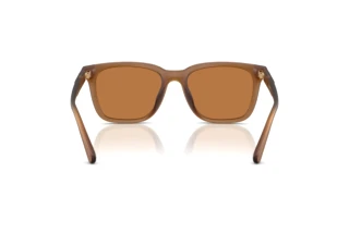 Rückansicht Coach CAD81 (HC8426U - 587673)