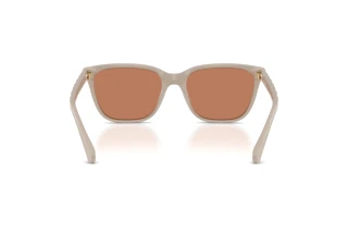 Rückansicht Coach CAE86 (HC8429D - 58843)