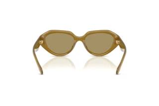 Rückansicht Coach CBY77 (HC8433U - 590230)