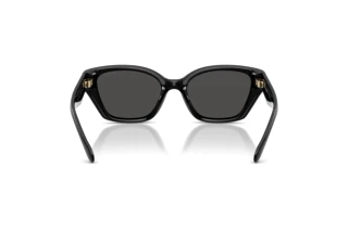 Rückansicht Coach CBY91 (HC8434U - 500287)