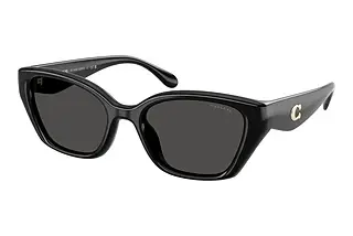 Coach HC8434U 500287 Grey SolidBlack
