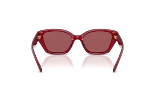 Rückansicht Coach CBY91 (HC8434U - 5526D0)