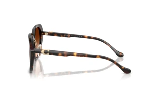 Seitenansicht Coach CBY93 (HC8436 - 512074)