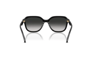 Rückansicht Coach CBY87 (HC8437U - 50023C)