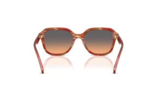 Rückansicht Coach CBY87 (HC8437U - 590018)