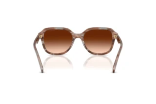 Rückansicht Coach CBY87 (HC8437U - 590174)