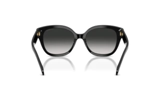 Rückansicht Coach CBY94 (HC8438U - 500287)