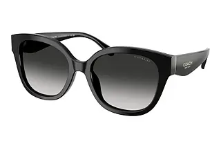 Coach HC8438U 500287 Grey GradientBlack