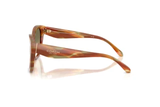 Seitenansicht Coach CBY94 (HC8438U - 5898L0)