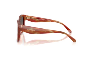 Seitenansicht Coach CBY94 (HC8438U - 590018)