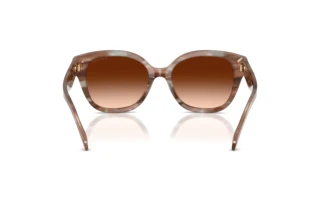 Rückansicht Coach CBY94 (HC8438U - 590174)