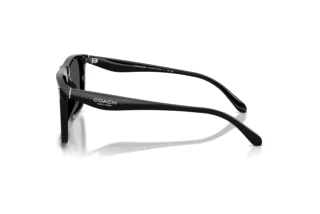 Seitenansicht Coach CBY95 (HC8440U - 500287)