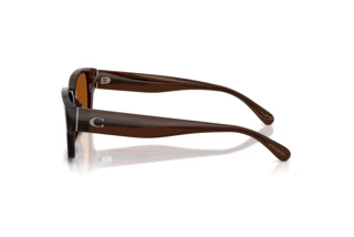 Seitenansicht Coach CBY96 (HC8441U - 591173)