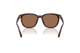 Rückansicht Coach CCA00 (HC8442U - 512073)