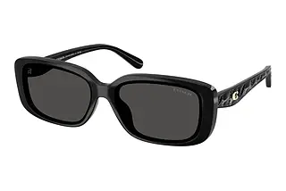 Coach HC8444D 500287 Grey SolidBlack