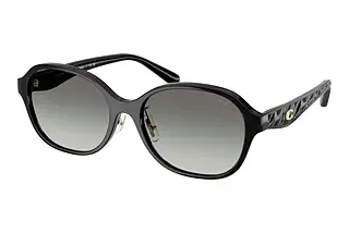 Coach HC8445D 500211 Grey GradientBlack