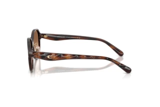 Seitenansicht Coach CBY85 (HC8445D - 512013)