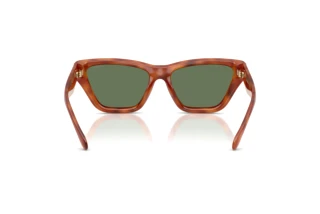 Rückansicht Coach CDP33 (HC8449U - 577482)