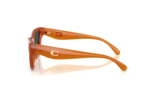 Seitenansicht Coach CDP33 (HC8449U - 593087)