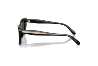 Seitenansicht Coach CDP52 (HC8452U - 500287)