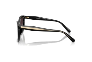 Seitenansicht Coach CDP53 (HC8453U - 50028G)