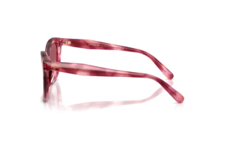 Seitenansicht Coach CDP53 (HC8453U - 59417W)