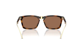 Rückansicht Coach CDP54 (HC8455 - 512013)